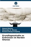 Grundlagenstudie zu Erdnüssen im Norden Ghanas Grundlagenstudie zu Erdnüssen im Norden Ghanas