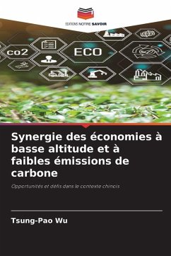 Synergie des économies à basse altitude et à faibles émissions de carbone Cover Synergie des économies à basse altitude et à faibles émissions de carbone
