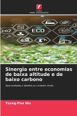 Sinergia entre economias de baixa altitude e de baixo carbono