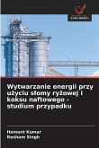 Wytwarzanie energii przy u¿yciu s¿omy ry¿owej i koksu naftowego - studium przypadku Wytwarzanie energii przy u¿yciu s¿omy ry¿owej i koksu naftowego - studium przypadku