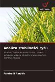Analiza stabilno¿ci ry¿u