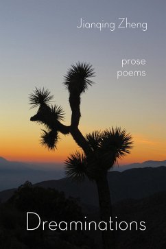 Dreaminations (eBook, ePUB) - Zheng, Jianqing