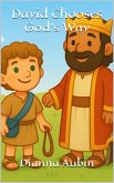 David Chooses God's Way (Little David's Bible Adventures, #4) (eBook, ePUB)