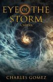 EYE OF THE STORM (eBook, ePUB)