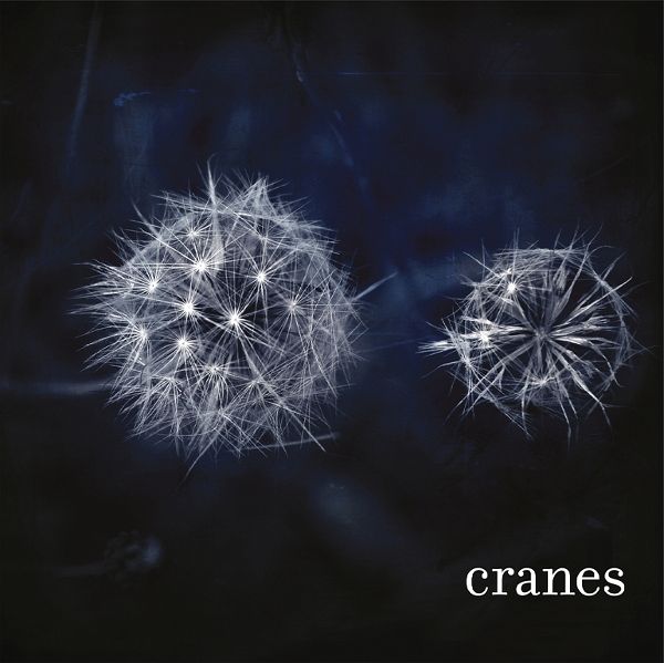 Cranes