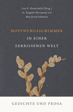 Cover Hoffnungsschimmer in einer zerrissenen Welt