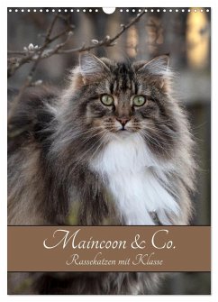 Cover Maincoon & Co. - Rassekatzen mit Klasse (Wandkalender 2026 DIN A3 hoch), CALVENDO Monatskalender