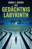 Das Gedächtnis Labyrinth (Schatten, #2) (eBook, ePUB)