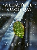 A Beautiful Stormy Day (The Family Affair Series) (eBook, ePUB)