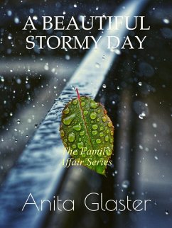Cover A Beautiful Stormy Day (The Family Affair Series) (eBook, ePUB)