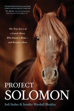 Project Solomon (eBook, ePUB) - Stuber, Jodi; Bleakley, Jennifer Marshall