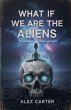 What If We Are The Aliens? - Bild 1