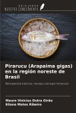 Pirarucu (Arapaima gigas) en la región noreste de Brasil Pirarucu (Arapaima gigas) en la región noreste de Brasil