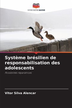 Système brésilien de responsabilisation des adolescents Cover Système brésilien de responsabilisation des adolescents