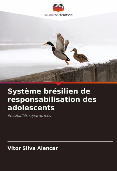 Système brésilien de responsabilisation des adolescents Système brésilien de responsabilisation des adolescents