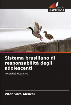 Cover Sistema brasiliano di responsabilità degli adolescenti