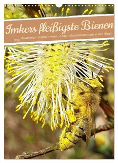 Cover Imkers fleißigste Bienen - So arbeiten meine Immen - Originalaufnahmen aus erster Hand (Wandkalender 2026 DIN A3 hoch), CALVENDO Monatskalender