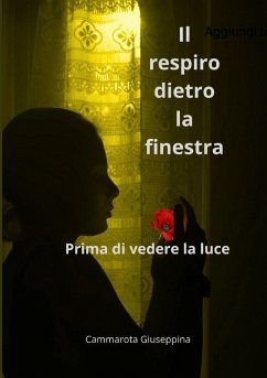 Cover Il respiro dietro la finestra