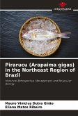 Pirarucu (Arapaima gigas) in the Northeast Region of Brazil