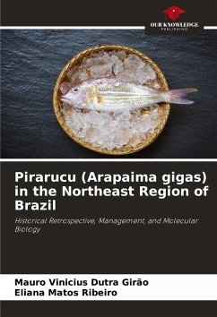 Cover Pirarucu (Arapaima gigas) in the Northeast Region of Brazil