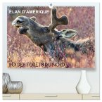ÉLAN D'AMÉRIQUE - ROI DES FORÊTS DU NORD (Calendrier mural 2026 DIN A2 vertical) calendrier de bureau