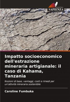 Cover Impatto socioeconomico dell'estrazione mineraria artigianale: il caso di Kahama, Tanzania