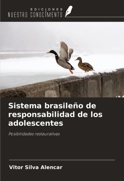 Cover Sistema brasileño de responsabilidad de los adolescentes