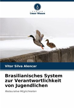 Cover Brasilianisches System zur Verantwortlichkeit von Jugendlichen