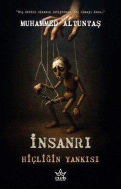 Cover Insanri - Hicligin Yankisi