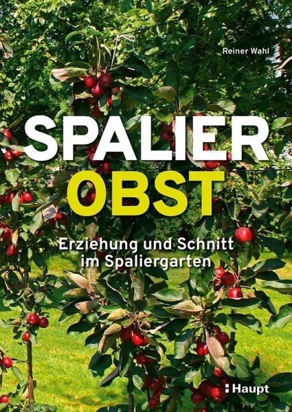 Spalierobst Spalierobst