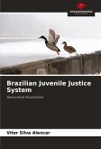 Brazilian Juvenile Justice System Brazilian Juvenile Justice System