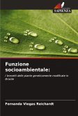 Funzione socioambientale: