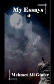 My Essays 4