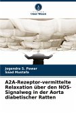 A2A-Rezeptor-vermittelte Relaxation über den NOS-Signalweg in der Aorta diabetischer Ratten