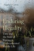 Enduring Illegality (eBook, ePUB)