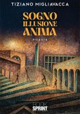 Sogno Illusione Anima (eBook, ePUB)