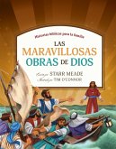 Las maravillosas obras de Dios (eBook, ePUB)