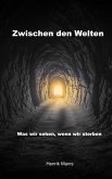 Zwischen den Welten (eBook, ePUB)
