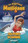 Dolphins in Danger (eBook, ePUB)