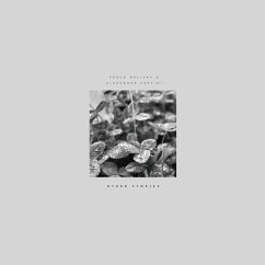 Cover Other Stories (Lp)