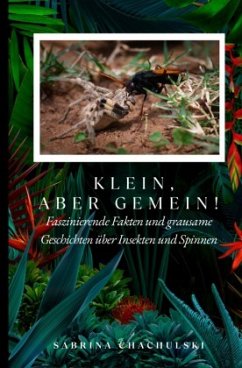 Cover Klein, aber gemein!