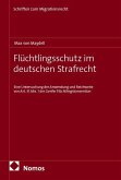 Flüchtlingsschutz im deutschen Strafrecht