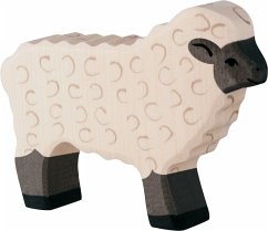 Cover Schwarzkopfschaf