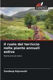 Il ruolo del terriccio nelle piante annuali estive Il ruolo del terriccio nelle piante annuali estive