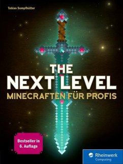 The Next Level (eBook, PDF) - Sumpfhütter, Tobias