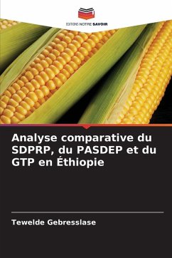 Cover Analyse comparative du SDPRP, du PASDEP et du GTP en Éthiopie