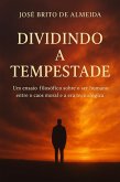 DIVIDINDO A TEMPESTADE Um ensaio filosófico sobre o ser humano entre o caos moral e a era tecnológica (eBook, ePUB)
