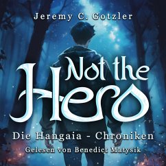Not the Hero (MP3-Download) - Gotzler, Jeremy C.