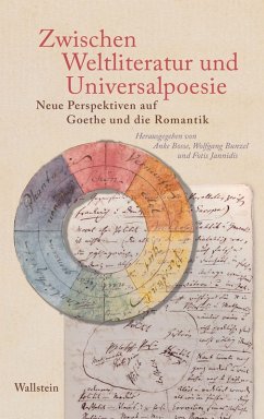 Cover Zwischen Weltliteratur und Universalpoesie (eBook, PDF)