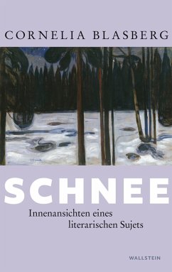 Cover Schnee (eBook, PDF)